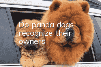 Do panda dogs recognize their owners?