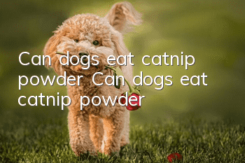 Can dogs eat catnip powder? Can dogs eat catnip powder?