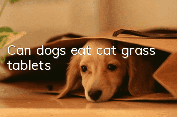 Can dogs eat cat grass tablets?