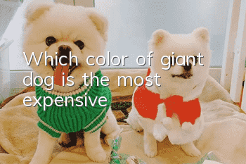 Which color of giant dog is the most expensive?