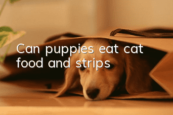 Can puppies eat cat food and strips?