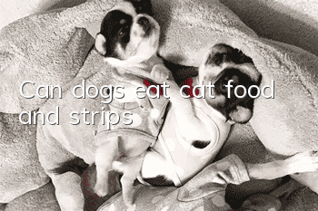 Can dogs eat cat food and strips?