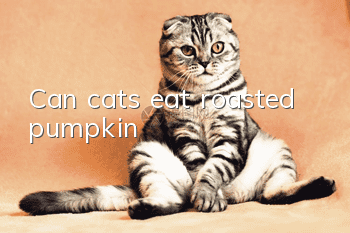 Can cats eat roasted pumpkin?