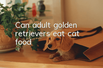 Can adult golden retrievers eat cat food?