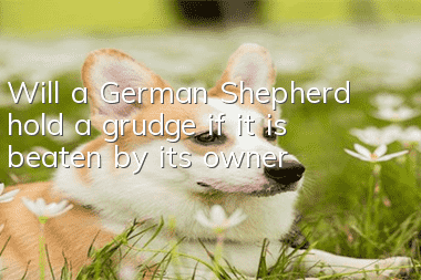 Will a German Shepherd hold a grudge if it is beaten by its owner?
