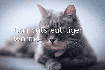 Can cats eat tiger worms?
