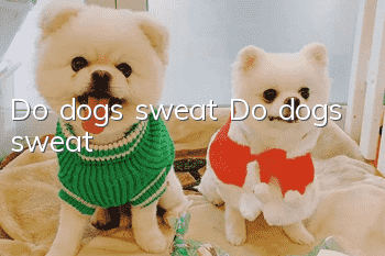 Do dogs sweat? Do dogs sweat?