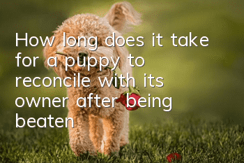 How long does it take for a puppy to reconcile with its owner after being beaten?