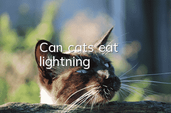 Can cats eat lightning?
