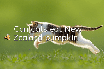 Can cats eat New Zealand pumpkin?