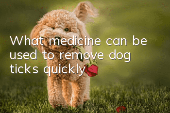 What medicine can be used to remove dog ticks quickly?
