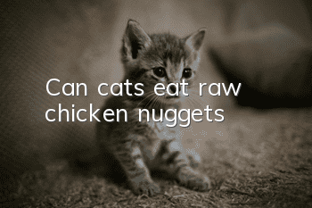 Can cats eat raw chicken nuggets?