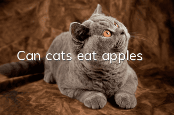 Can cats eat apples?