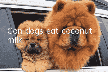 Can dogs eat coconut milk?