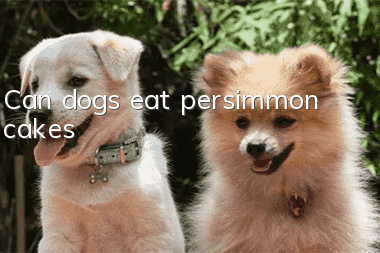 Can dogs eat persimmon cakes?