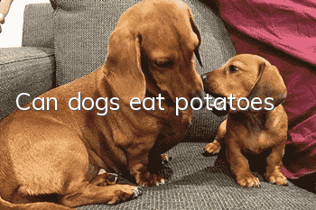 Can dogs eat potatoes?