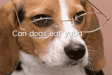 Can dogs eat yuba?