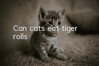 Can cats eat tiger rolls?