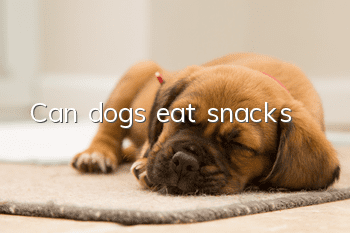 Can dogs eat snacks?