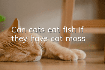 Can cats eat fish if they have cat moss?