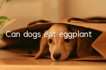 Can dogs eat eggplant?