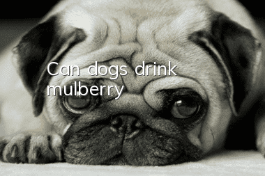 Can dogs drink mulberry?