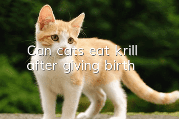 Can cats eat krill after giving birth?