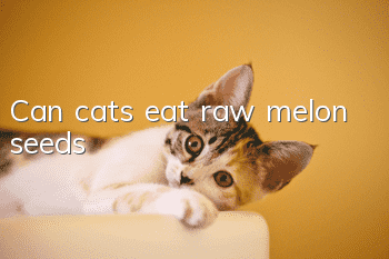 Can cats eat raw melon seeds?