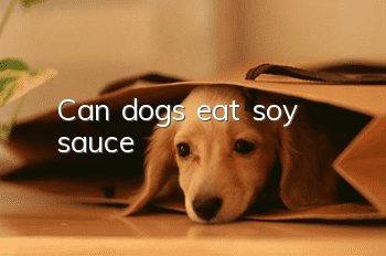 Can dogs eat soy sauce?