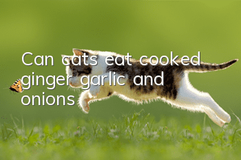 Can cats eat cooked ginger, garlic and onions?