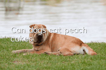 Can dogs eat peach cakes?