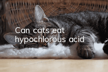 Can cats eat hypochlorous acid?