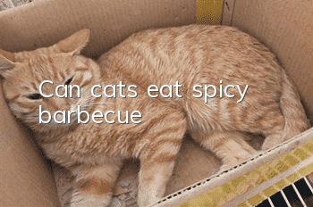 Can cats eat spicy barbecue?