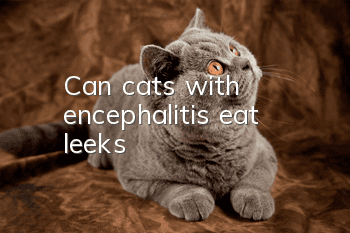 Can cats with encephalitis eat leeks?