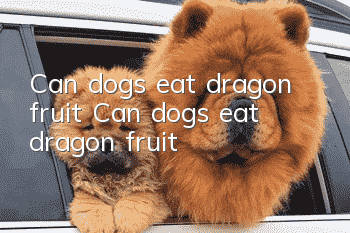 Can dogs eat dragon fruit? Can dogs eat dragon fruit?