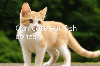 Can cats eat fish bones?