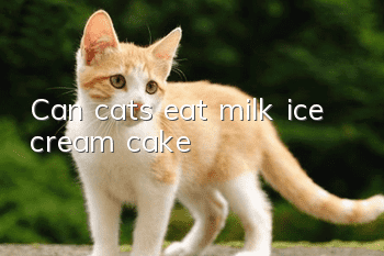 Can cats eat milk ice cream cake?