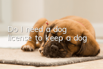 Do I need a dog license to keep a dog?