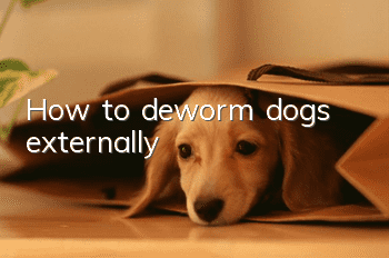 How to deworm dogs externally