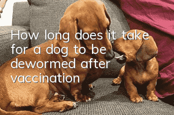 How long does it take for a dog to be dewormed after vaccination?