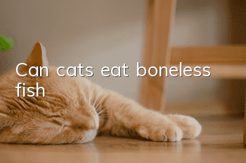 Can cats eat boneless fish?