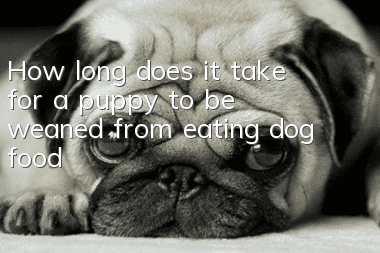 How long does it take for a puppy to be weaned from eating dog food?