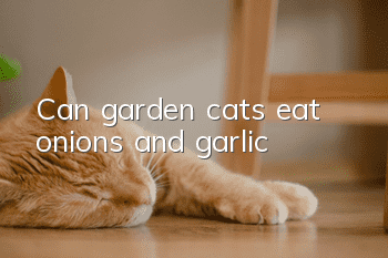 Can garden cats eat onions and garlic?