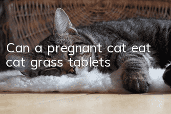 Can a pregnant cat eat cat grass tablets?