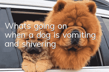 What's going on when a dog is vomiting and shivering?