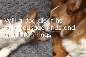 Will a dog die if he eats sausage rinds and small iron rings?