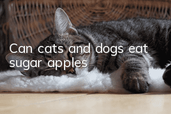 Can cats and dogs eat sugar apples?