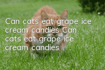 Can cats eat grape ice cream candies? Can cats eat grape ice cream candies?