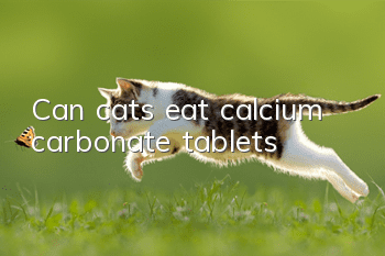 Can cats eat calcium carbonate tablets?