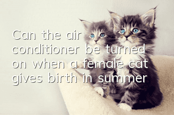 Can the air conditioner be turned on when a female cat gives birth in summer?